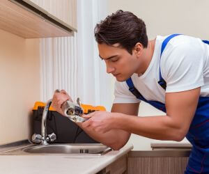 About Plumbers Pros Forestville, MI